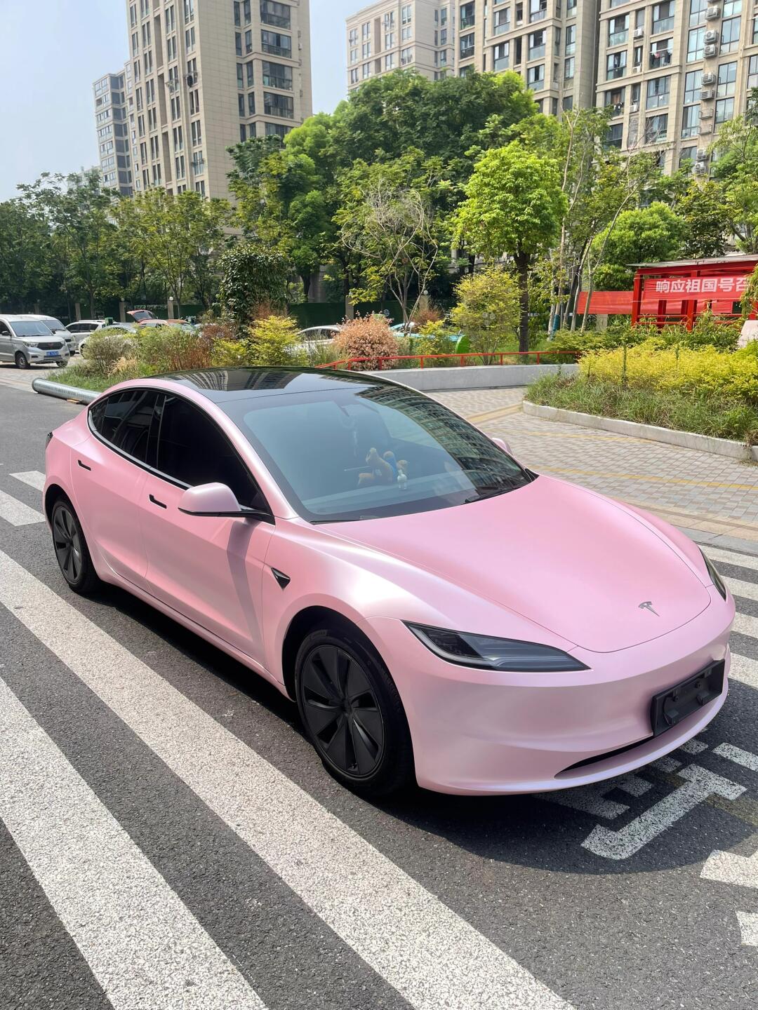 电光樱花粉